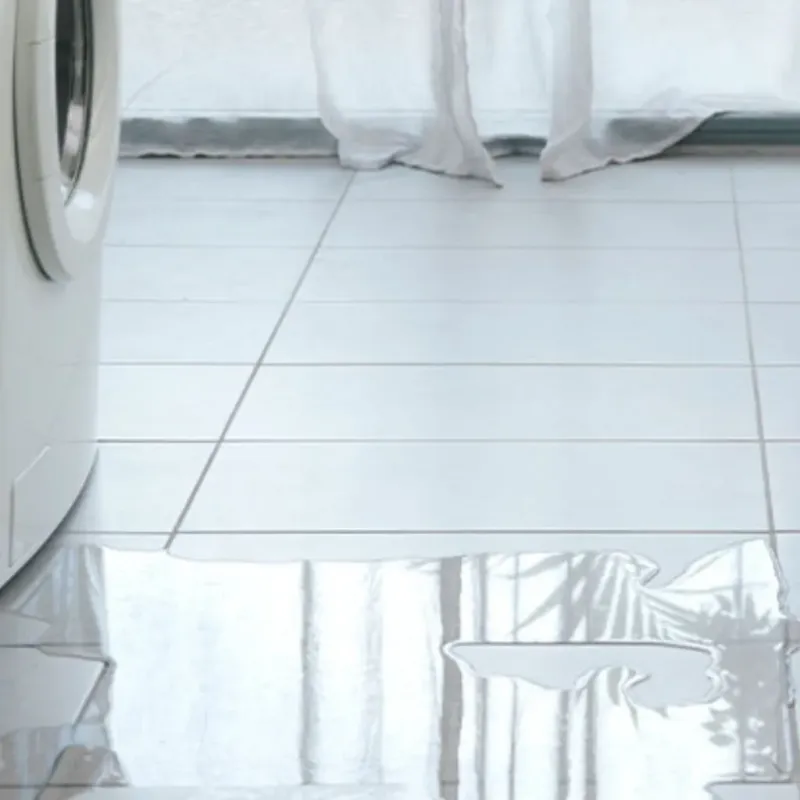 Appliance Leak Cleanup in Price, UT