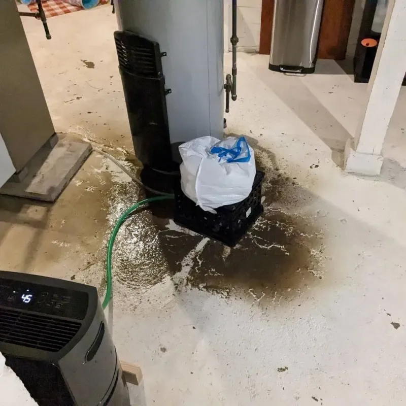Sewage Backup Cleanup Service in Price, UT